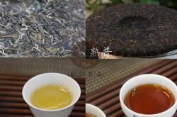 制作茶叶的基本步骤