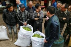 山东济南茶叶市场电话