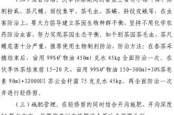 茶叶文档