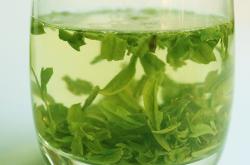 很大一片的茶叶