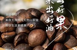 老树根山茶油1L多少价