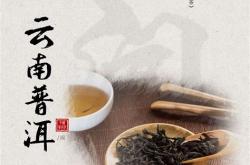 茶叶创意广告宣传语