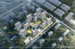 徐汇区茶叶供应市场分析与推荐