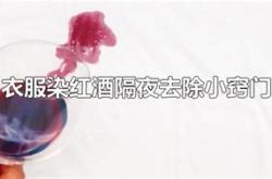 衣服上红酒怎么去