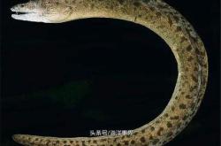 适宜环境
