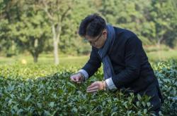 茶叶审评基地：打造品质之都