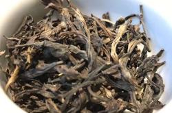 吉林可靠的普洱茶叶产地