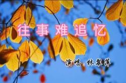 9《往事回忆》!我的父母!我的爱人!我的儿子!我的同事!时光一