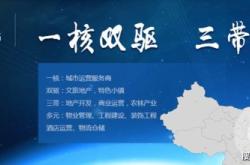 中国医药发挥优势两年赚亿控股股东延期资产注入解决同业竞争