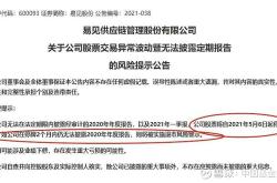 退市蓝盾风波受损股民的索赔之路