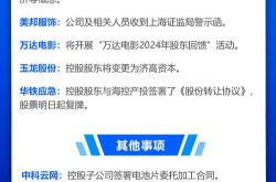 股价大跌的原因分析