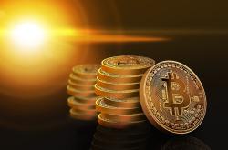 揭秘梦金园加盟背后的财富秘密与风险挑战