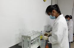 茶叶中检测重金属超标原因及解决方案