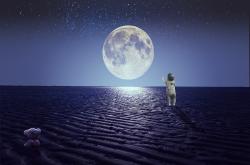 追寻星辰的奇迹，揭秘领养星星的孩子背后的故事
