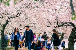 迎接春天的节日，3月16日，一窥春耕的诗意与科学