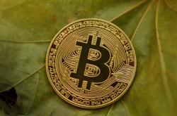 魅力密码，揭秘网络游戏中的好名字魔力