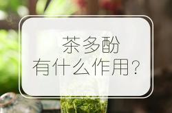 茶多酚高的茶叶