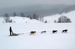 冬季行车安全指南，如何在冰天雪地中稳驾护航