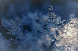 穿越冬寒，解读小雪背后的节气智慧—探索自然与生活的韵律