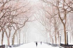 冬季安全行车教育教案，冰雪路面上的平安使者