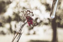 Unlocking the Language of Care:Understanding Maintenance Instructions in English