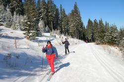 冬季行车安全全攻略，如何在冰雪路面上安全驾驶