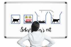 探索量子世界的奥秘，薛定谔的猫与量子力学的启示