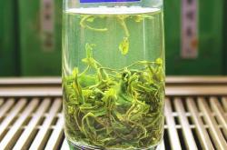 茶叶竹叶青图片