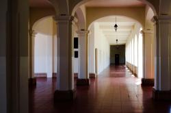 探索上海大学，东方明珠的教育瑰宝