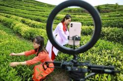 湖南茶叶协会官网