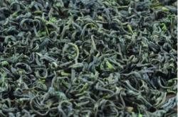 都匀毛尖茶多少钱一斤