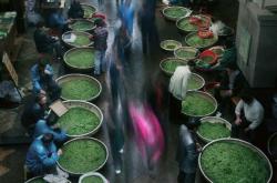 新苑茶楼