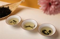 茶叶22292什么级别