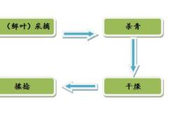 茶叶生化样制作