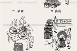 茶叶做法步骤