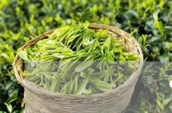 喝茶叶嘴唇起皮