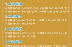青岛崂山茶叶多少钱一斤