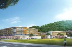 舟山双桥茶叶有限公司电话