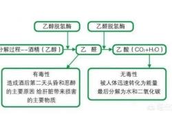 前列腺炎不能喝红酒吗女生怎么办
