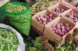 玉溪美食菜市场在哪里