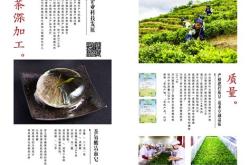 茶叶品牌营销技巧分析