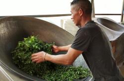 新采的茶叶怎么做才好吃