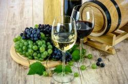 绿色庄园红酒价格