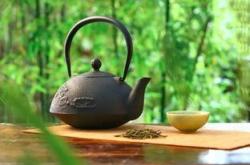 梦见摘茶叶子