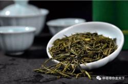 木山归芽茶价格
