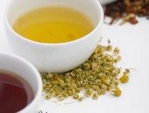 冷萃茶适合哪些茶叶喝