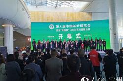山东茶叶批发的进货渠道