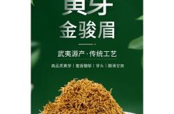 酒泉适合养什么花