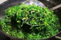 刚摘的茶叶如何处理