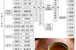 茶叶大全品种名称